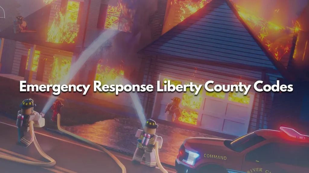 Emergency-Response-Liberty-County-Codes