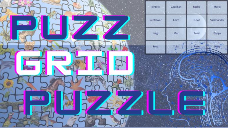 PuzzGrid Puzzle